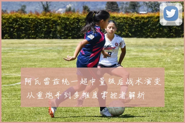 阿瓦雷兹统一超中量级后战术演变 从重炮手到多维度掌控者解析