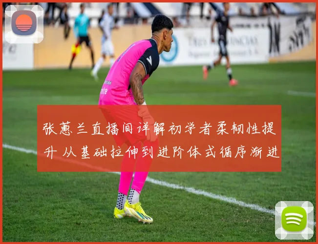 张蕙兰直播间详解初学者柔韧性提升 从基础拉伸到进阶体式循序渐进